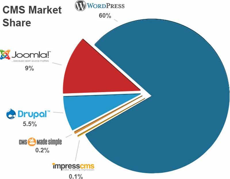 What-is-Market-Share-CMS What-is-Market-Share-CMS