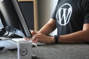 The Benefits of Hiring a WordPress Consultant.