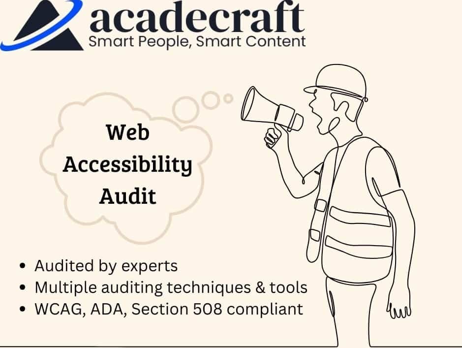 website auditing services